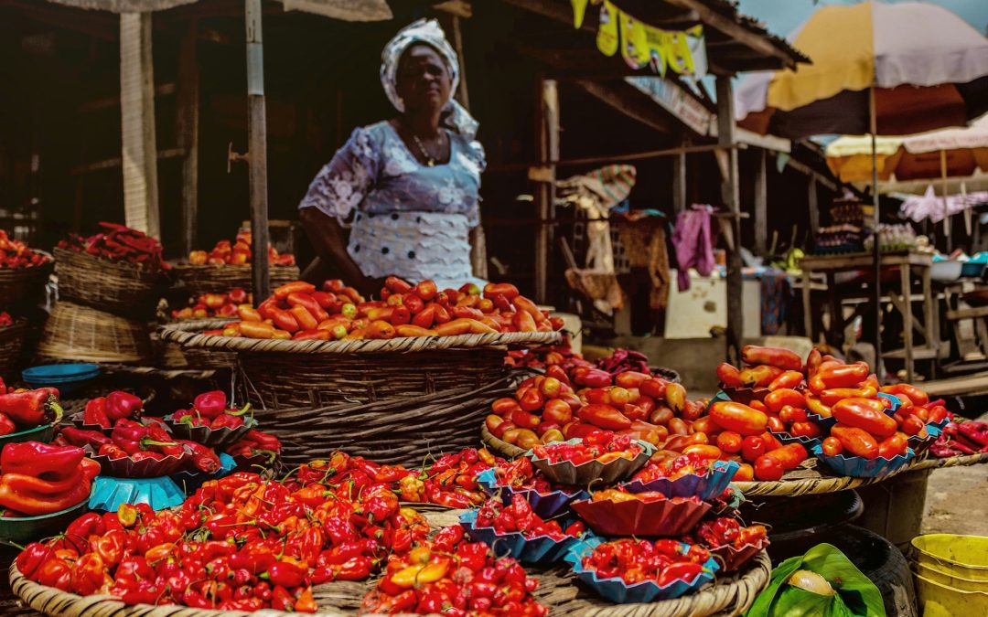 How Kano Farmers are Embracing Digital Tools for a Better Harvest